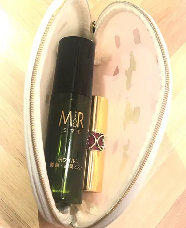 ポーチにも収納可能なサイズ