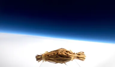 雲の遥か上を滑空する水戸納豆の映像