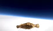 雲の遥か上を滑空する水戸納豆の映像