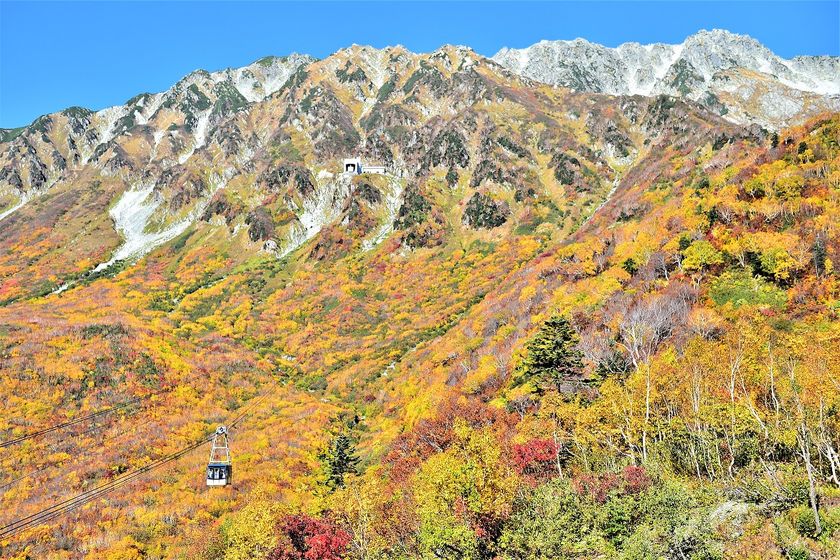 立山黒部アルペンルート 紅葉シーズンスタート 本州一番乗り 富山県と長野県を結ぶ 立山黒部貫光株式会社のプレスリリース