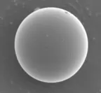 顕微鏡で拡大したBELLOCEA(R)(平均粒径7μm)