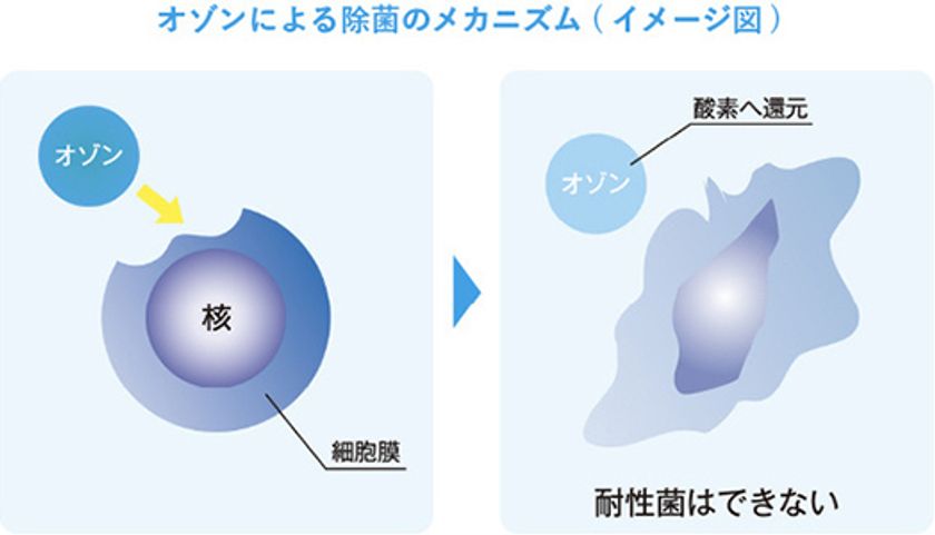 新版 オゾン利用の新技術