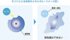 オゾンによる除菌のメカニズム(イメージ図)