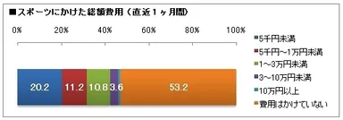 スポーツにかけた総額費用(直近1ヶ月間)