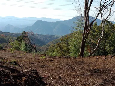 見晴台(森林・行動療法)