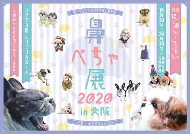 「鼻ぺちゃ展 2020 in 大阪」キービジュアル