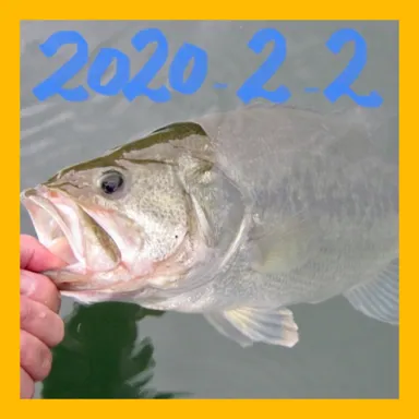 メモリアル　サンプル 4