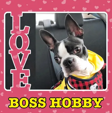 お客様からの元データ 2