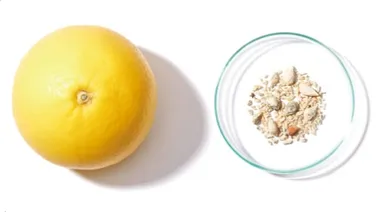 グレープフルーツ種子