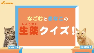 2019年・きなこちゃん登場