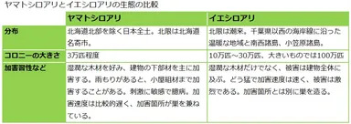 ヤマトシロアリとイエシロアリの生態の比較