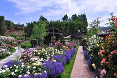 花・緑・庭で笑顔をつくった部門(プロフェッショナル)準グランプリ　株式会社CML　一級建築士事務所　居場 英則様