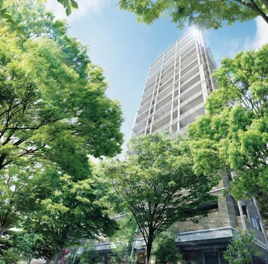 MJR赤坂けやき通り