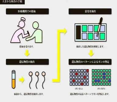 マイクロアレイ血液検査　手順