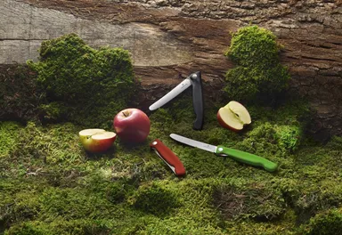 トマト・ベジタブル フォールディングナイフ