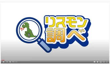 リスモン調べ動画キャプチャ