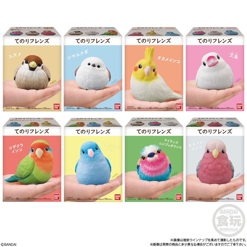 手のひらサイズのかわいい ことり の食玩フィギュア発売 文鳥 シマエナガ オカメインコなど全8種 株式会社バンダイ キャンディ事業部のプレスリリース