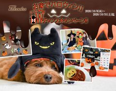 今年はステイホームハロウィン！SNSでも楽しめる「お家でハロウィン!!HWチャンスキャンペーン!!」が10月8日から10月31日まで開催