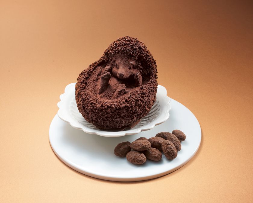 渋谷スクランブルスクエア開業１周年！
限定スイーツが勢揃い
アニバーサリーにぴったり！
華やか祝福スイーツ・グルメ特集