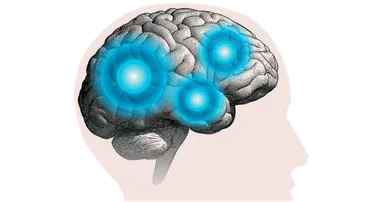 脳から聞こえを考える