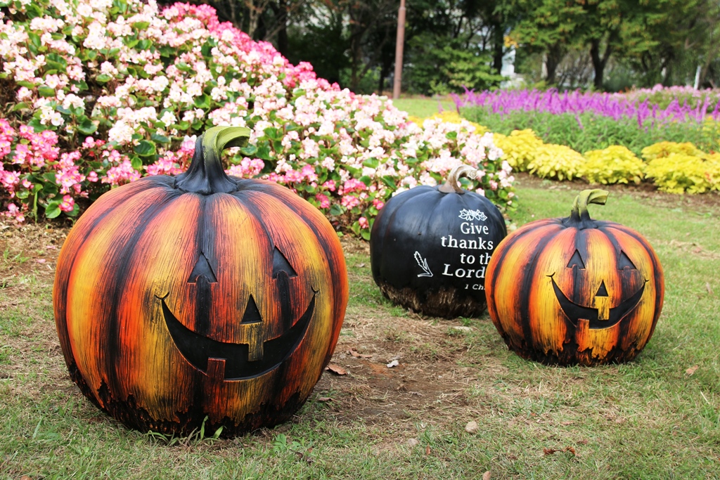 カネコ種苗 ぐんまフラワーパークにて1 700株のバラの香りに包まれるハロウィンイベント 秋バラフェスタ フラワーハロウィン を10月31日 土 まで開催 カネコ種苗 ぐんまフラワーパークのプレスリリース