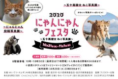 「2020にゃんにゃんフェスタ～五十嵐健太 ねこ写真展～」石川県金沢市めいてつ・エムザで10月21日～11月1日に開催