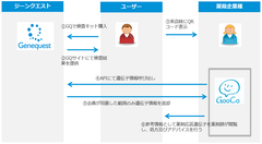 株式会社ジーンクエストと株式会社グッドサイクルシステム　業界初「調剤薬局及びドラッグストア向けの遺伝子情報を活用した最適な処方支援サービス」の実証試験を2021年2月頃開始