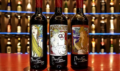 tekizamiイメージ