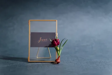 ショップイメージ