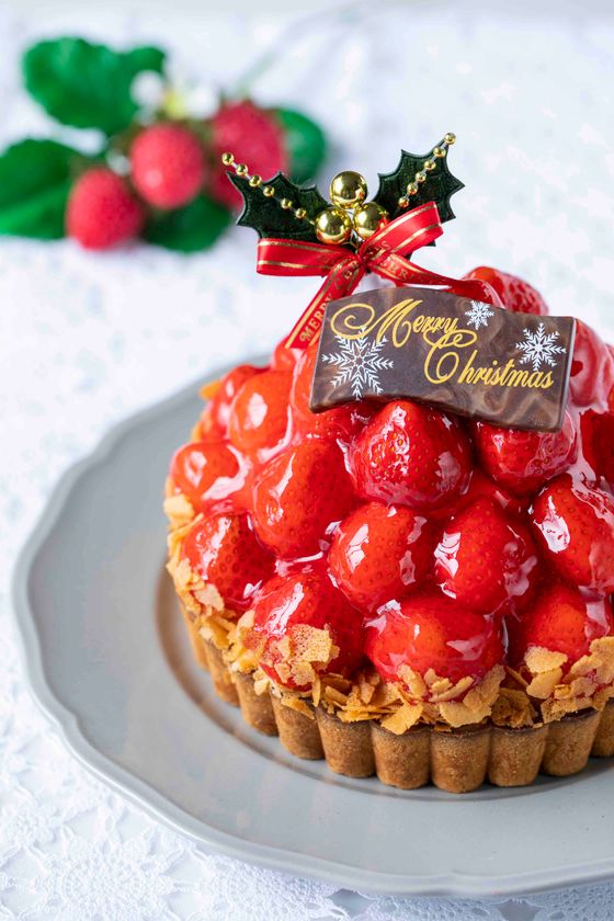 いちご専門店 いちごbonbonberry より おうちクリスマスをいちごで彩る いちご尽くしのクリスマスケーキ が数量限定で予約受付中 株式会社村の駅のプレスリリース