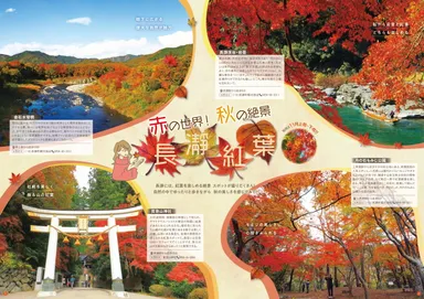 いいあんばい　イメージ2