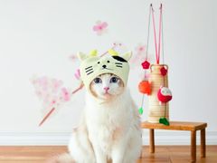 人気キャラクター「ししゃもねこ(R)」のペット用クリスマス＆お正月グッズがペピイから限定発売！