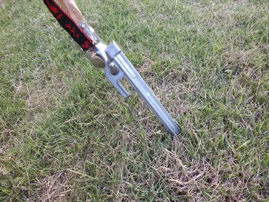 「アルペグ」写真(引き抜き)