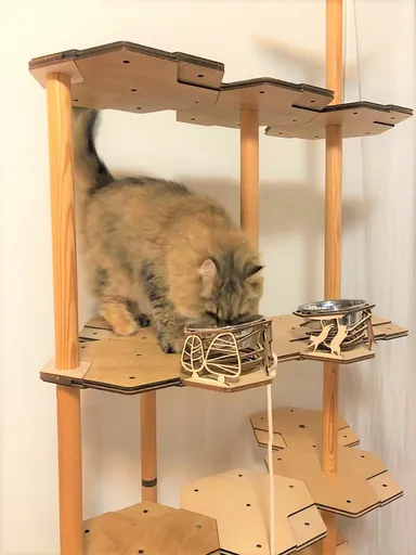 猫様用お食事台使用例