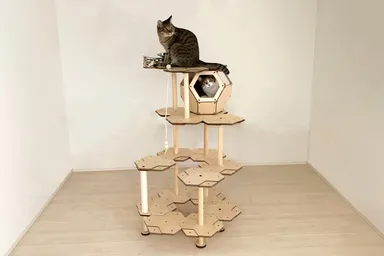 にゃんこカプセルの使用イメージ