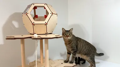 にゃんこカプセルを搭載したにゃんこタワー