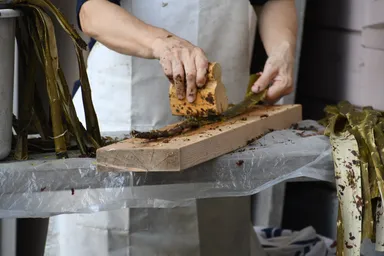 和紙アパレル雑貨“wellness”