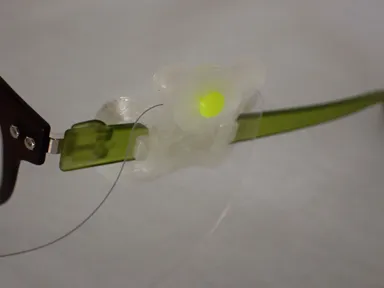 装着部分・クマさんの顔