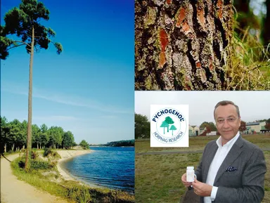 ピクノジェノール