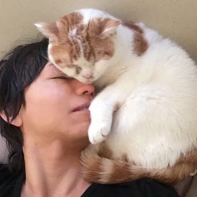 パレオな男(鈴木 祐)