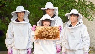 都内のキャンパスで学生たちが養蜂