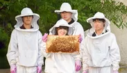 都内のキャンパスで学生たちが養蜂