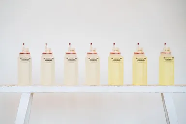 Air/Q マイクロフレグランス【12】