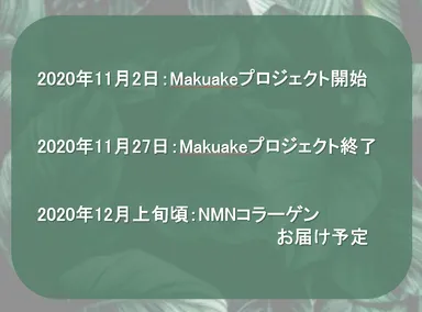 プロジェクトスケジュール