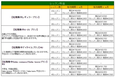 Gaba 冬の短期集中プラン料金表
