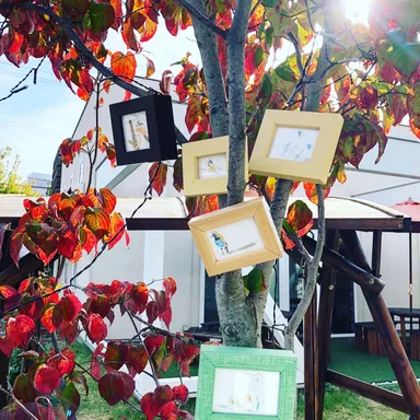 「kotoriの群れ」