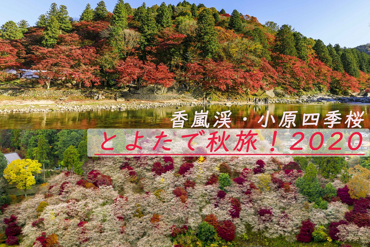 愛知県豊田市 2大紅葉スポット 香嵐渓 小原四季桜の今年の楽しみ方を紹介 年の香嵐渓 ライトアップ 小原四季桜まつり中止 一般社団法人ツーリズムとよたのプレスリリース