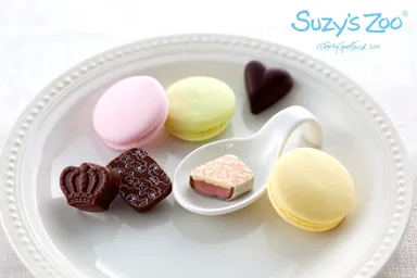 マカロン＆チョコギフト