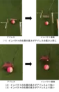 ボールの転がり画像