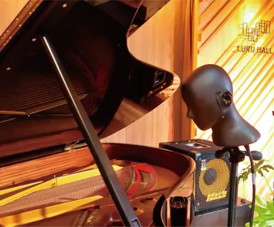 サザン音響製 SAMREC 2700 Pro(ANIMA Custom)